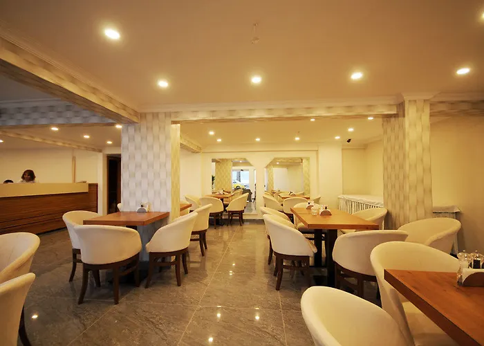 Hotel Anadolu *